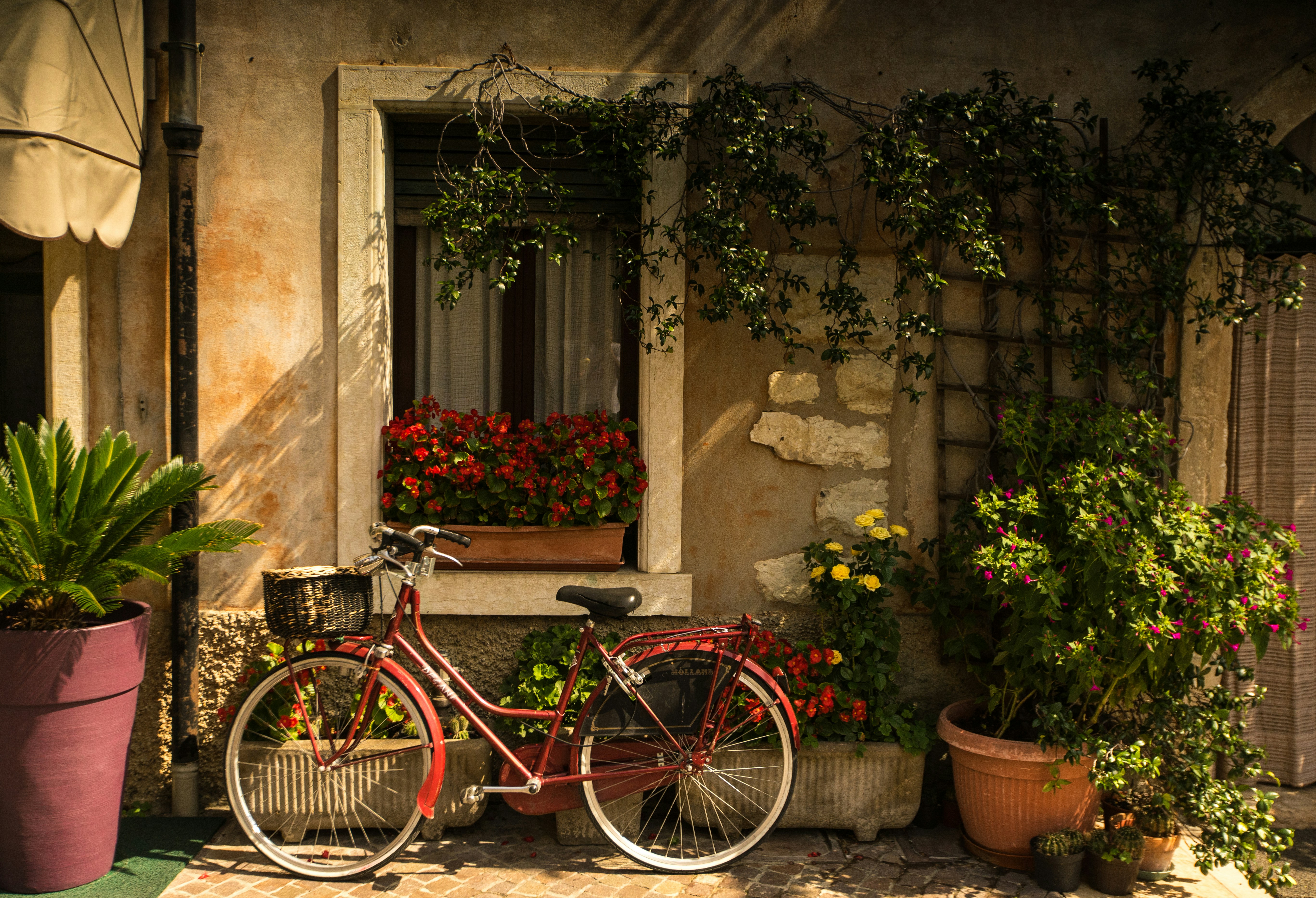 Jilbert Ebrahimi Qgehbt2b6iq Unsplash