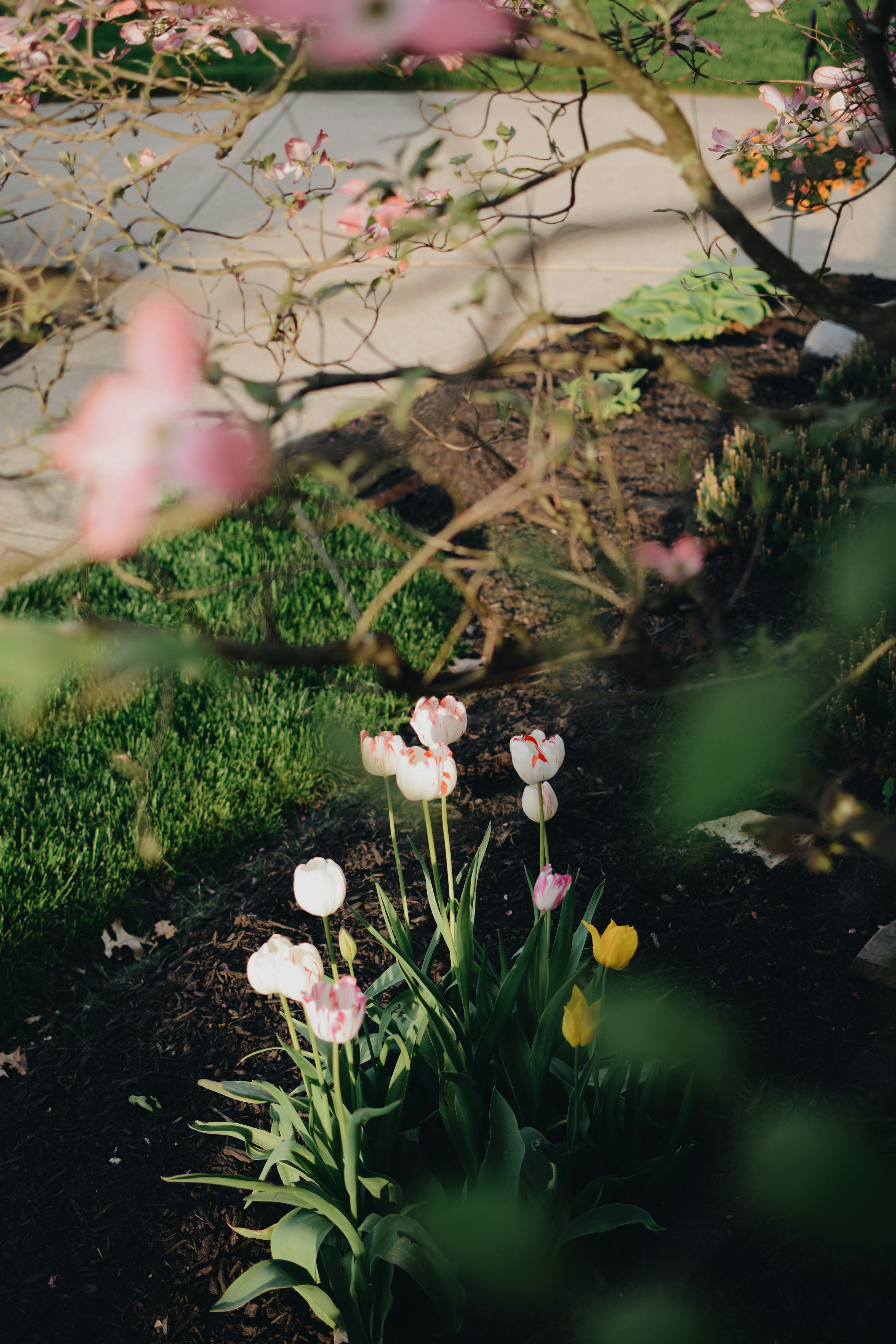 Abigail Miller Pbyuxu4hpbu Unsplash