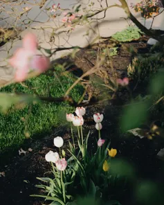 Abigail Miller Pbyuxu4hpbu Unsplash