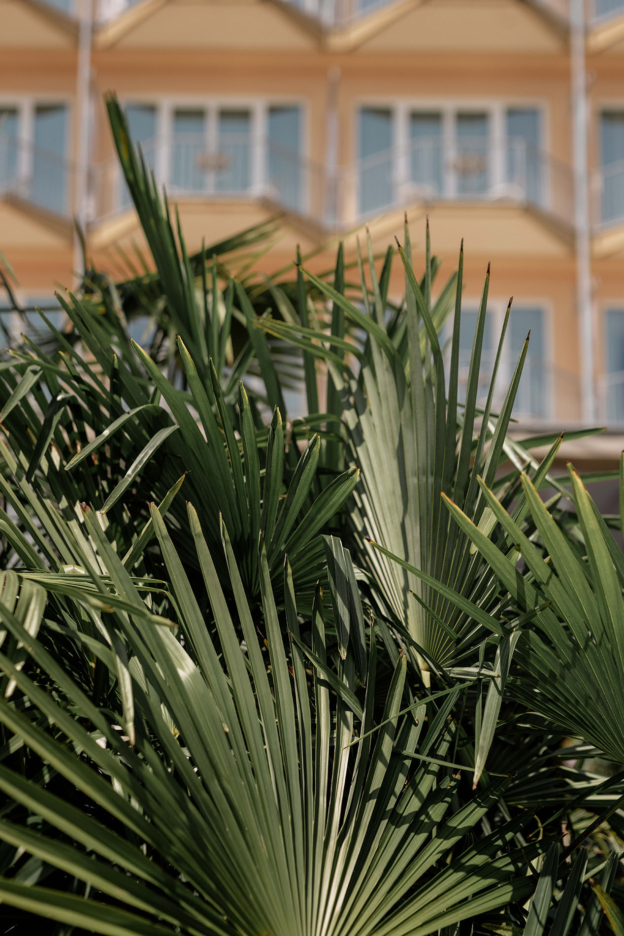 Grand Hotel Fasano Gardone Riviera Garden 8