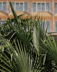 Grand Hotel Fasano Gardone Riviera Garden 8