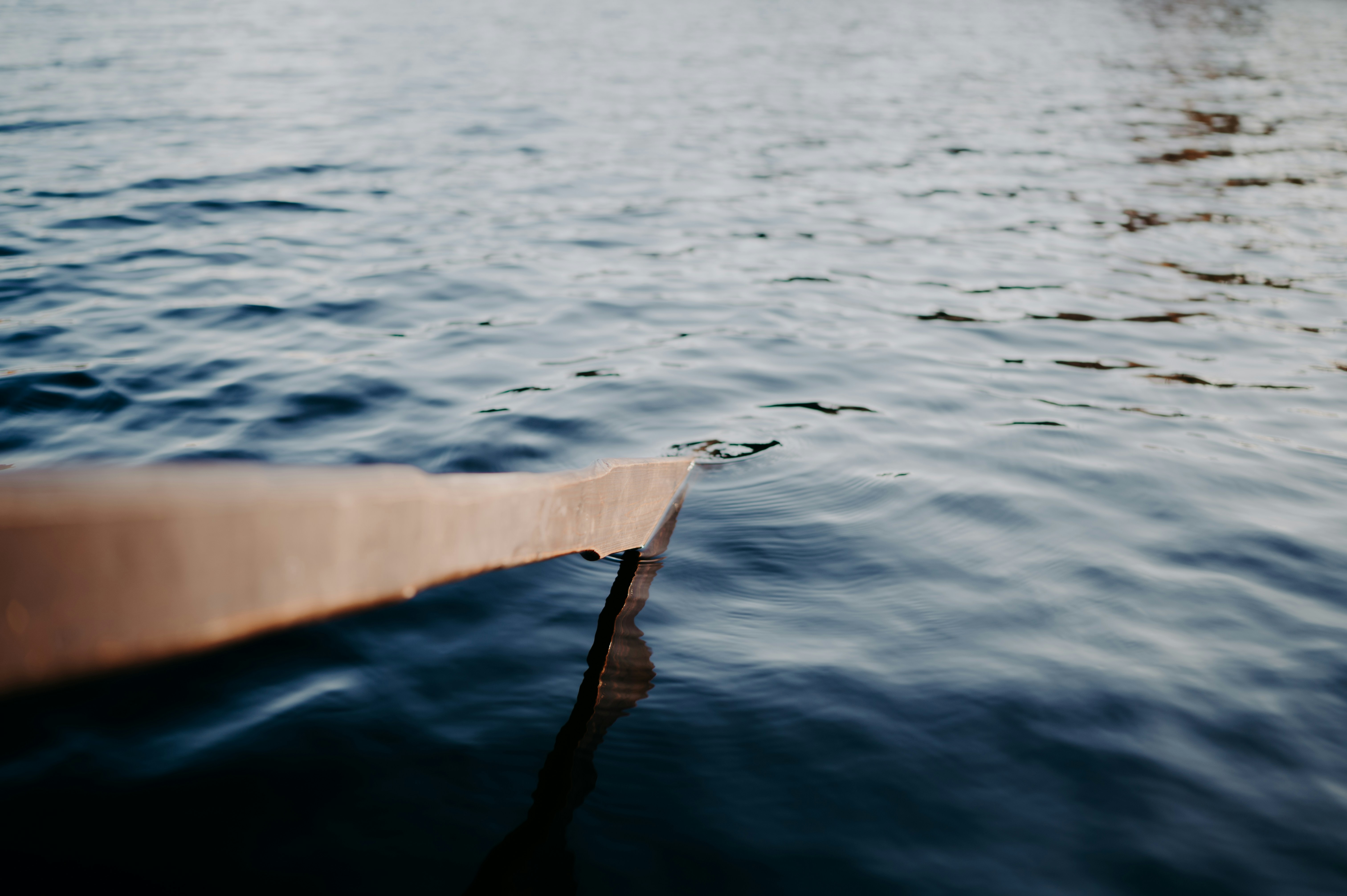 Kristaps Ungurs Kliylmazel0 Unsplash